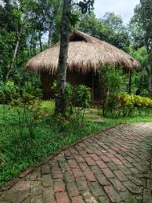 Family guide to staying at Litchibari Eco Resort Sreemangal